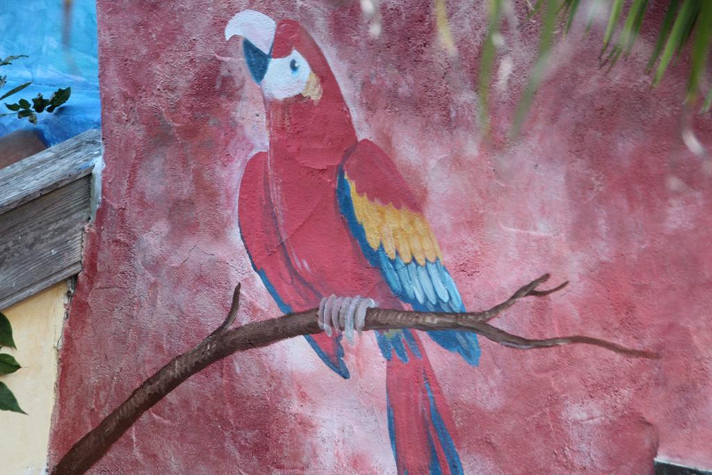 El Porvenir Pansiyon Los Llanos De Aridane Dış mekan fotoğraf