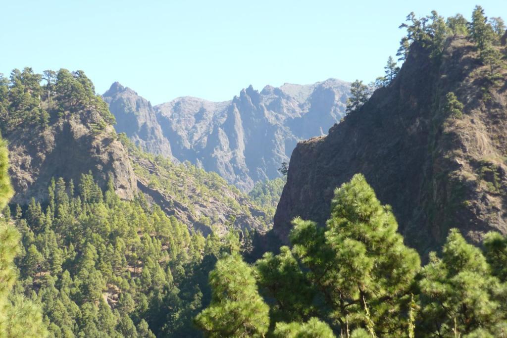 El Porvenir Pansiyon Los Llanos De Aridane Dış mekan fotoğraf