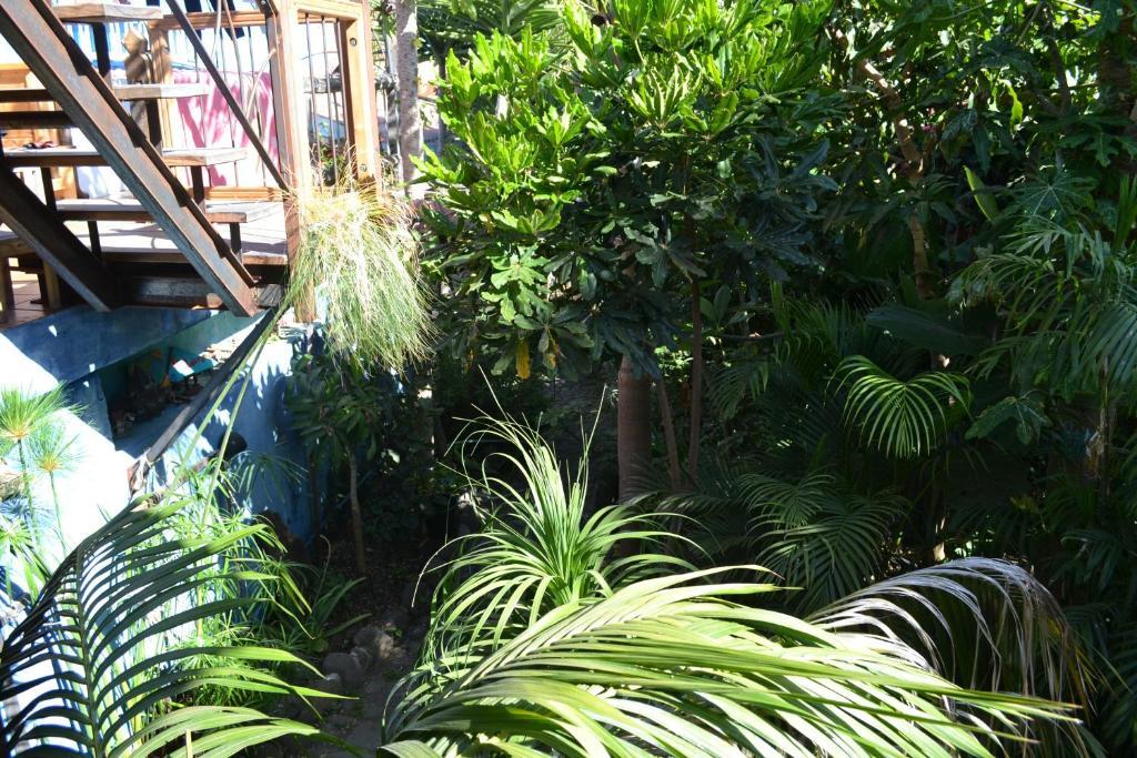 El Porvenir Pansiyon Los Llanos De Aridane Dış mekan fotoğraf